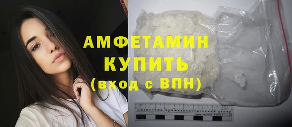 амф Краснослободск