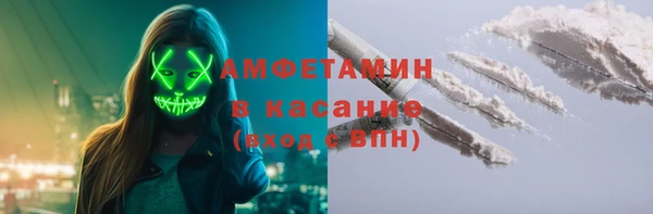 амф Краснослободск