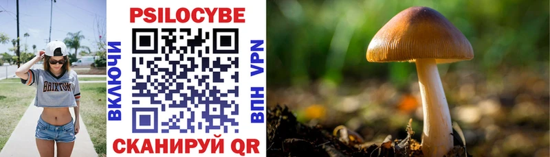 Псилоцибиновые грибы Psilocybine cubensis  Купить где  Тетюши 