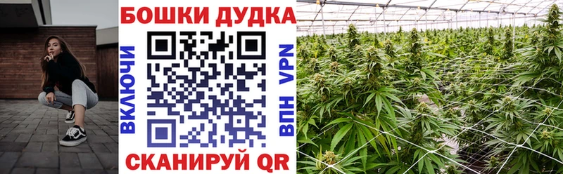 Конопля VHQ  Купить где  Тетюши 